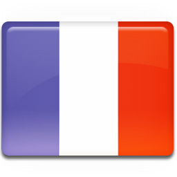 Icône de drapeau France